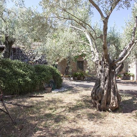 Villa Es Coco, Soller Puerto de Sóller المظهر الخارجي الصورة