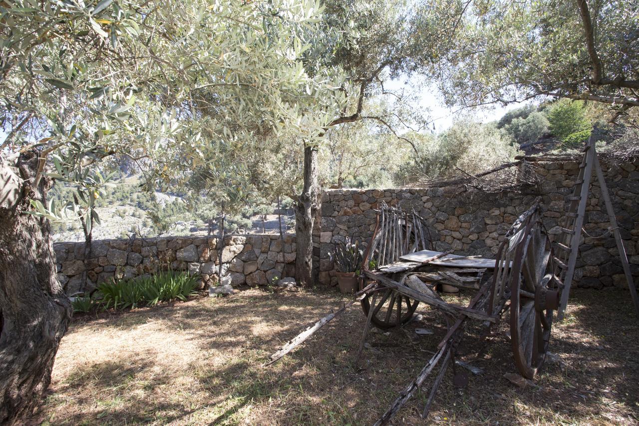 Villa Es Coco, Soller Puerto de Sóller المظهر الخارجي الصورة