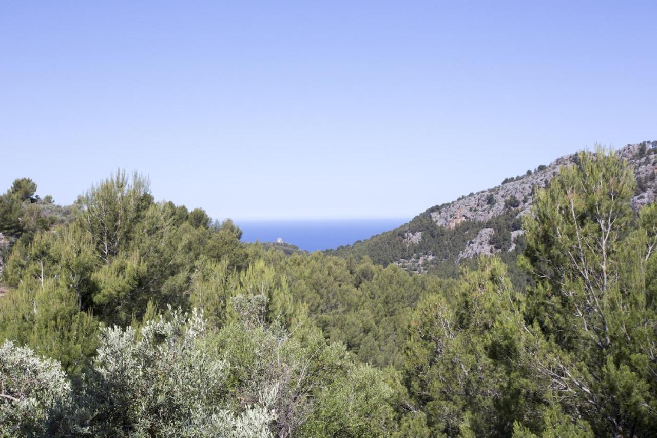 Villa Es Coco, Soller Puerto de Sóller المظهر الخارجي الصورة