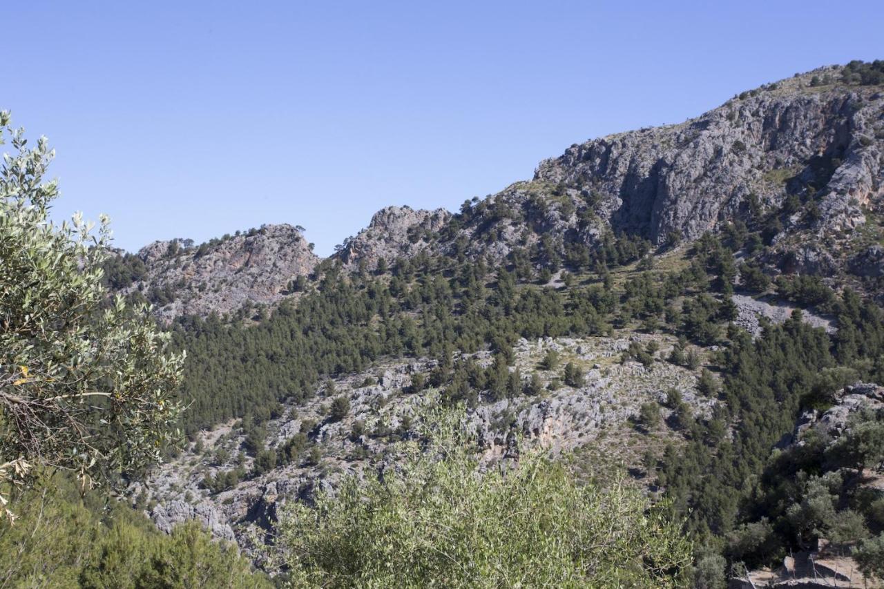 Villa Es Coco, Soller Puerto de Sóller المظهر الخارجي الصورة